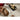 Cuchillo Queso Serie Riviera Blanc 5.5″ (8)
