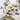 Cuchillo Santoku Serie Riviera 140 mm (4)