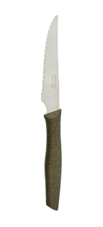 NOVA SERIES 110MM GOLDEN METALLIC STEAK KNIFE 