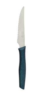 Steak Nova