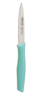 Nova Series 100 mm Mint Colour Paring Knife