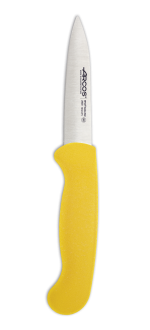 Paring Knife 2900 Series
