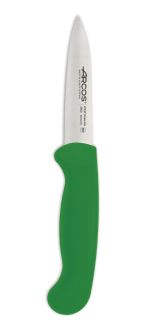 Paring Knife 2900 Series