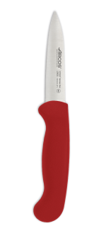 2900 Series 100 mm red Colour Paring Knife 
