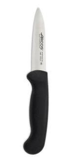 2900 Series 100 mm Black Colour Peeler knife