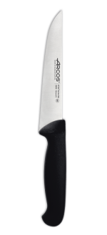 Kitchen Knife 2900 Series