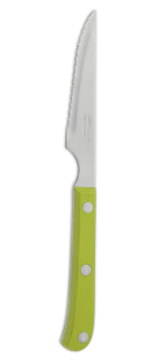 Steak Knife